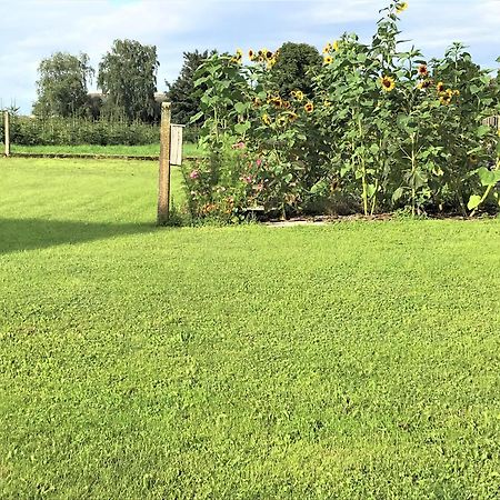 Ferienhaus Franziska Munstermaifeld Ngoại thất bức ảnh
